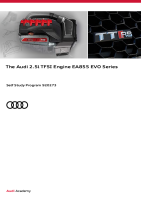 SSP 920273 - The Audi 2.5l TFSI Engine EA855 EVO Series 